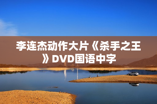 李连杰动作大片《杀手之王》DVD国语中字