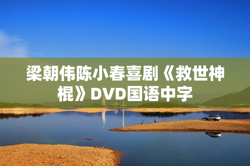 梁朝伟陈小春喜剧《救世神棍》DVD国语中字