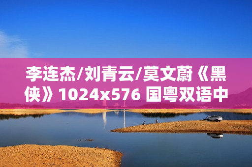 李连杰/刘青云/莫文蔚《黑侠》1024x576 国粤双语中字