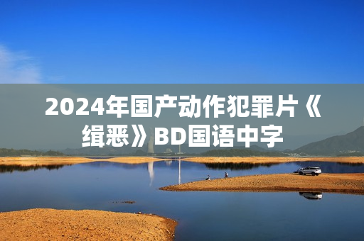 2024年国产动作犯罪片《缉恶》BD国语中字