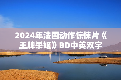 2024年法国动作惊悚片《王牌杀姬》BD中英双字