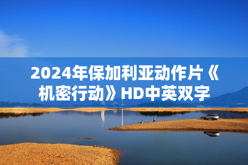 2024年保加利亚动作片《机密行动》HD中英双字