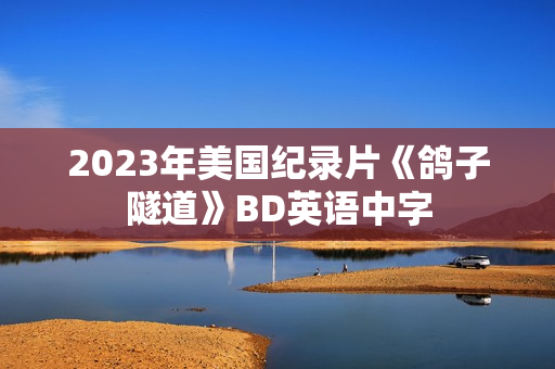 2023年美国纪录片《鸽子隧道》BD英语中字