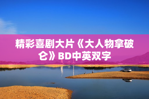 精彩喜剧大片《大人物拿破仑》BD中英双字 精彩喜剧大片《大人物拿破仑》BD中英双字