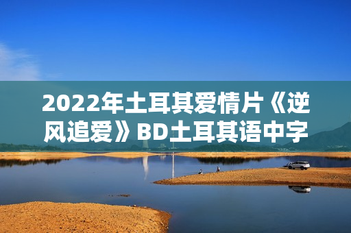 2022年土耳其爱情片《逆风追爱》BD土耳其语中字