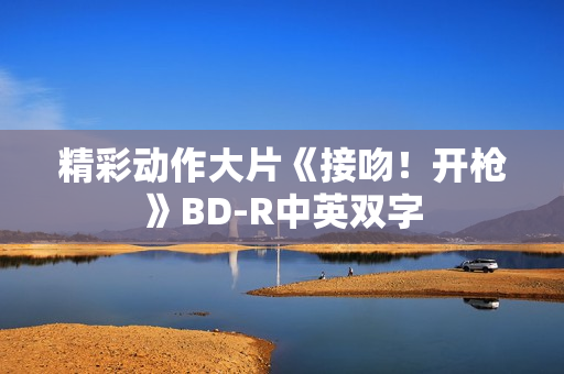精彩动作大片《接吻！开枪》BD-R中英双字