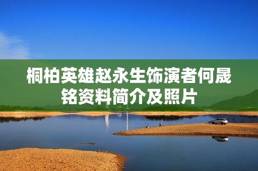 桐柏英雄赵永生饰演者何晟铭资料简介及照片