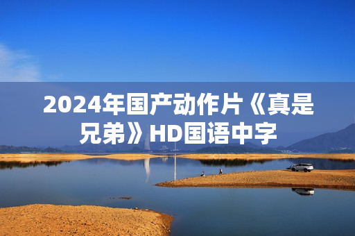 2024年国产动作片《真是兄弟》HD国语中字