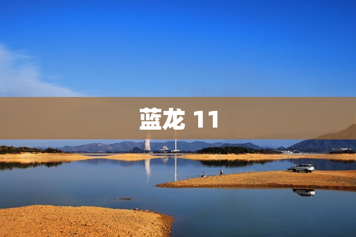 蓝龙 11