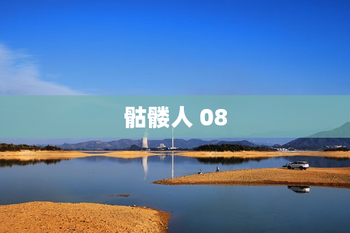 骷髅人 08