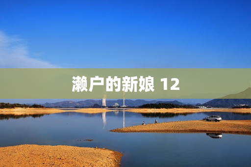 濑户的新娘 12