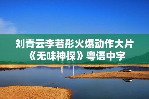 刘青云李若彤火爆动作大片《无味神探》粤语中字