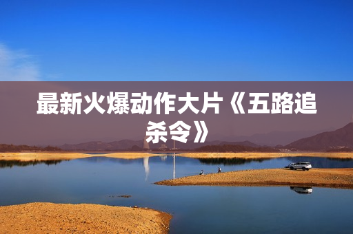 最新火爆动作大片《五路追杀令》