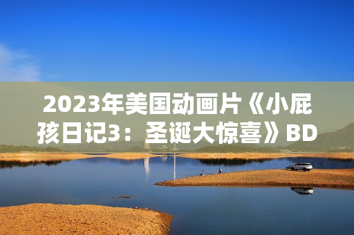 2023年美国动画片《小屁孩日记3：圣诞大惊喜》BD中英双字