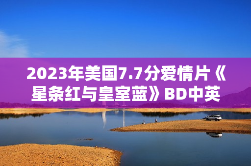 2023年美国7.7分爱情片《星条红与皇室蓝》BD中英双字