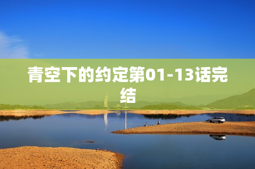 青空下的约定第01-13话完结