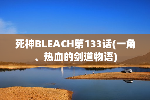 死神BLEACH第133话(一角、热血的剑道物语)
