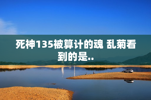 死神135被算计的魂 乱菊看到的是..