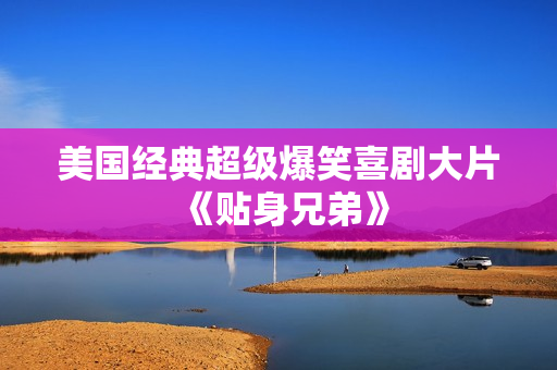 美国经典超级爆笑喜剧大片《贴身兄弟》