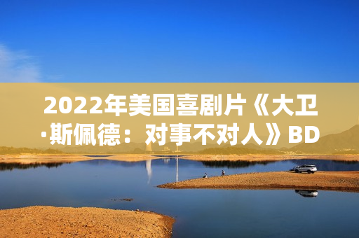 2022年美国喜剧片《大卫·斯佩德：对事不对人》BD英语中字
