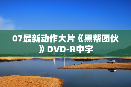 07最新动作大片《黑帮团伙》DVD-R中字