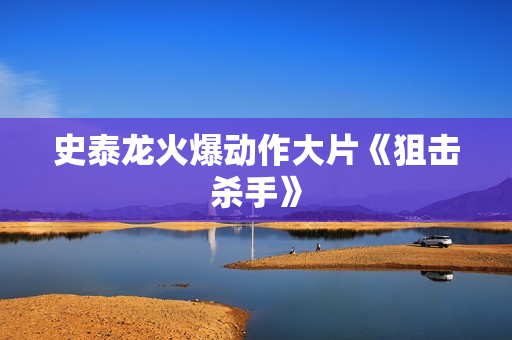 史泰龙火爆动作大片《狙击杀手》