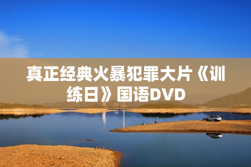 真正经典火暴犯罪大片《训练日》国语DVD