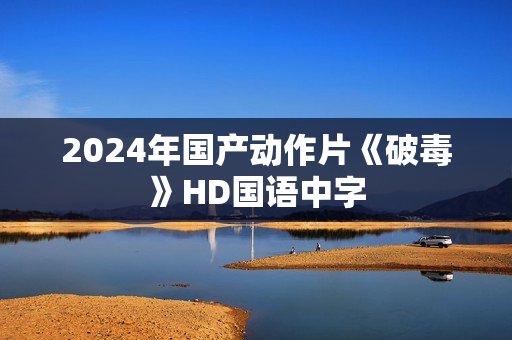 2024年国产动作片《破毒》HD国语中字