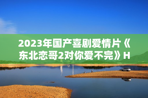 2023年国产喜剧爱情片《东北恋哥2对你爱不完》HD国语中字