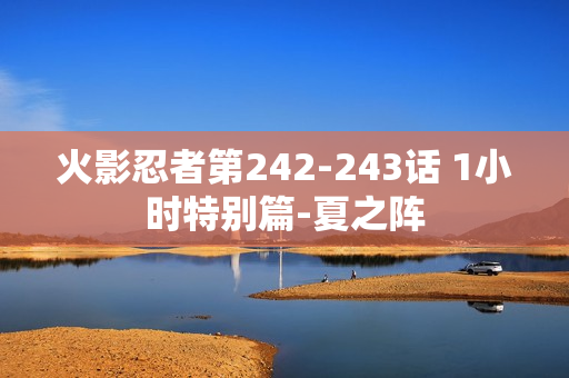 火影忍者第242-243话 1小时特别篇-夏之阵