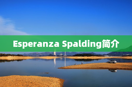 Esperanza Spalding简介