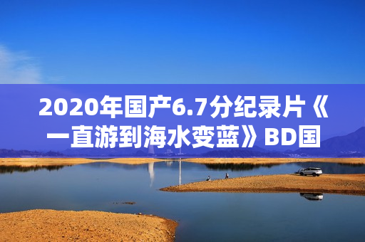 2020年国产6.7分纪录片《一直游到海水变蓝》BD国语中字