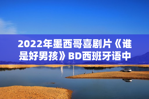 2022年墨西哥喜剧片《谁是好男孩》BD西班牙语中字