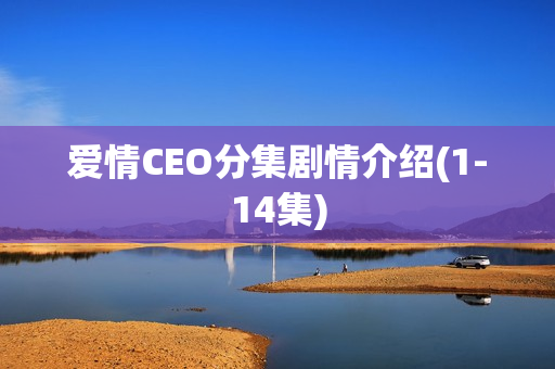 爱情CEO分集剧情介绍(1-14集)