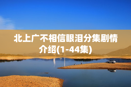 北上广不相信眼泪分集剧情介绍(1-44集)