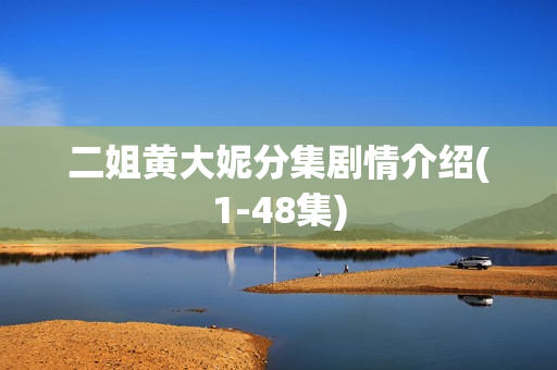 二姐黄大妮分集剧情介绍(1-48集)