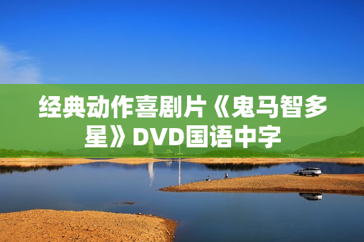 经典动作喜剧片《鬼马智多星》DVD国语中字