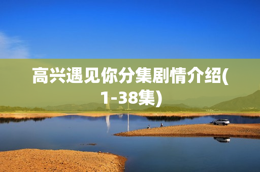 高兴遇见你分集剧情介绍(1-38集)