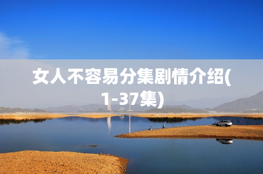 女人不容易分集剧情介绍(1-37集)