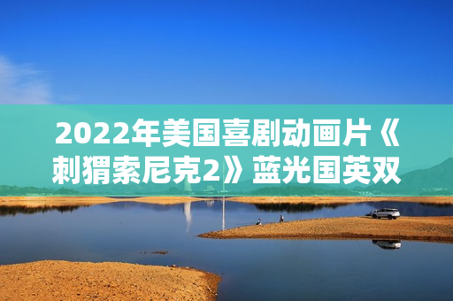 2022年美国喜剧动画片《刺猬索尼克2》蓝光国英双语中英双字