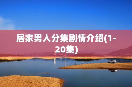 居家男人分集剧情介绍(1-20集)