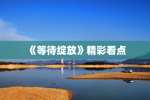 《等待绽放》精彩看点
