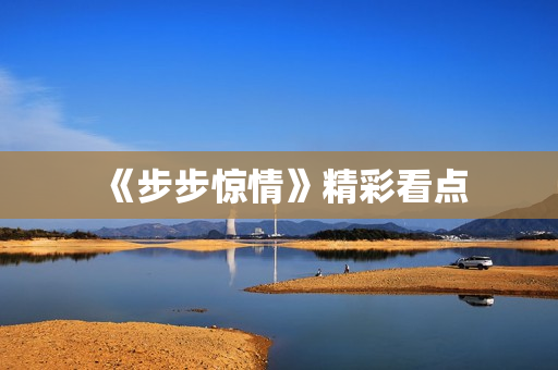 《步步惊情》精彩看点