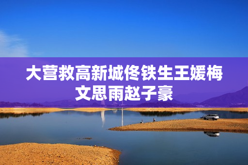 大营救高新城佟铁生王媛梅文思雨赵子豪