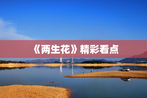 《两生花》精彩看点