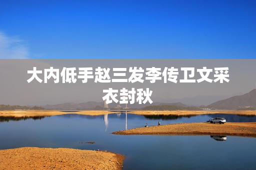 大内低手赵三发李传卫文采衣封秋