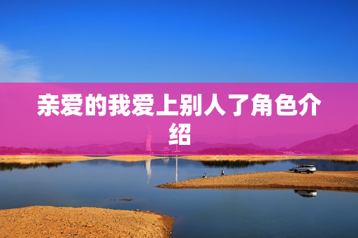 亲爱的我爱上别人了角色介绍
