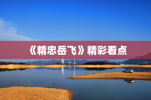 《精忠岳飞》精彩看点