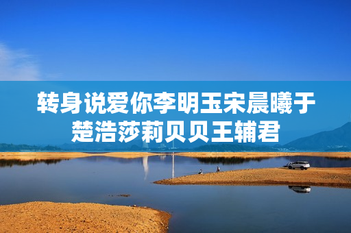 转身说爱你李明玉宋晨曦于楚浩莎莉贝贝王辅君