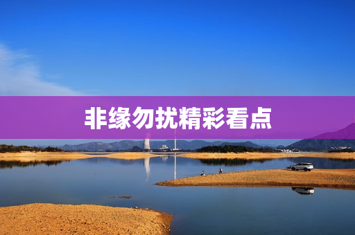 非缘勿扰精彩看点